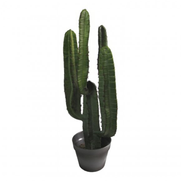 Multi brand - Yuha kaktus 69cm fra Abigail Ahern