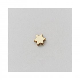 Design Letters - Star Charm (guld) fra Design Letters