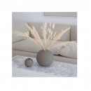 Cooee design - flowers pampas white
