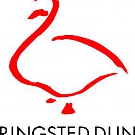 Ringsted Dun