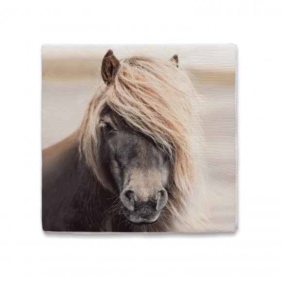 Multi brand - Cozy Living pude 50x50cm hest 1264s