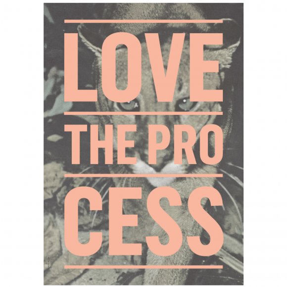 Multi brand - Process puma plakat A3 fra I LOVE MY TYPE
